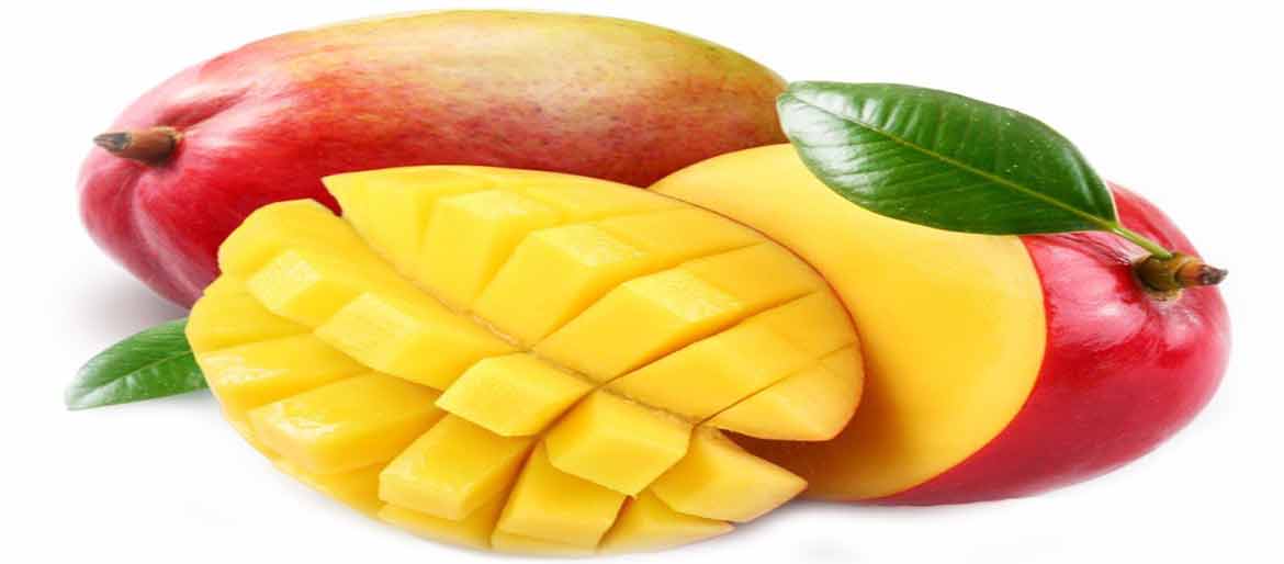 Mango - Etna Fruit.